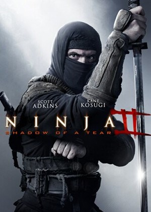 忍者2：撕裂的暗影
