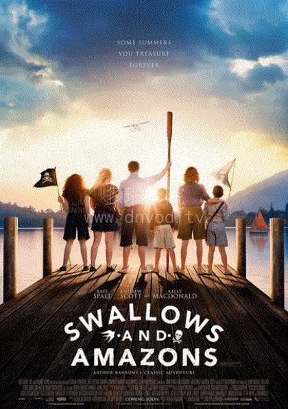 燕子号与亚马逊号