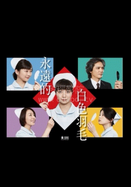 永远的白羽毛