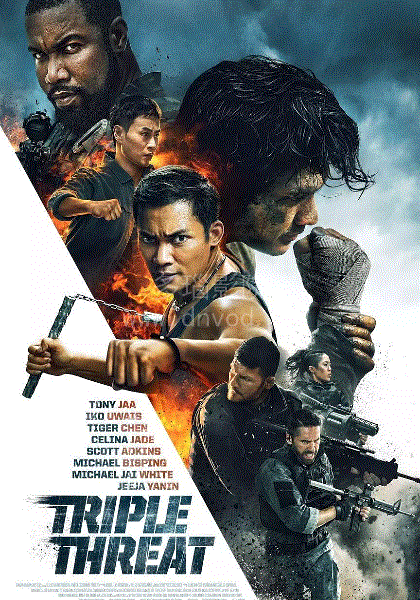 三重威胁之跨国大营救