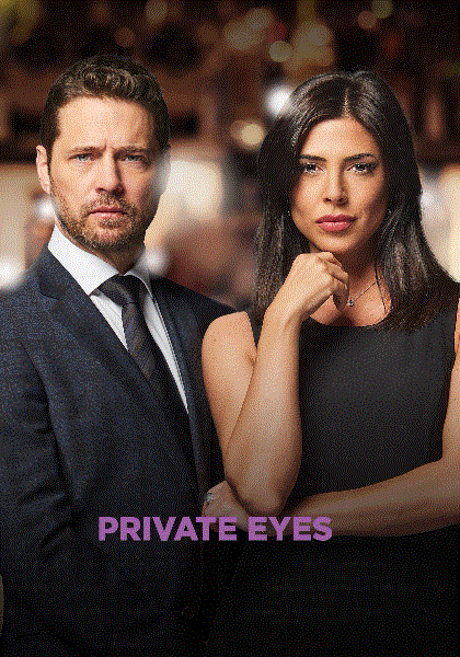 私家侦探第3季