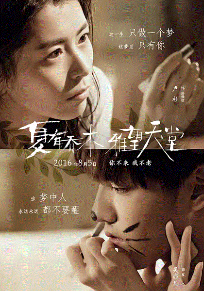 夏有乔木 雅望天堂