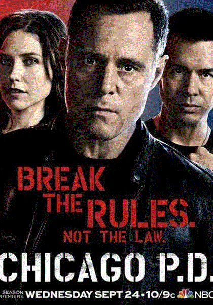 芝加哥警署第2季