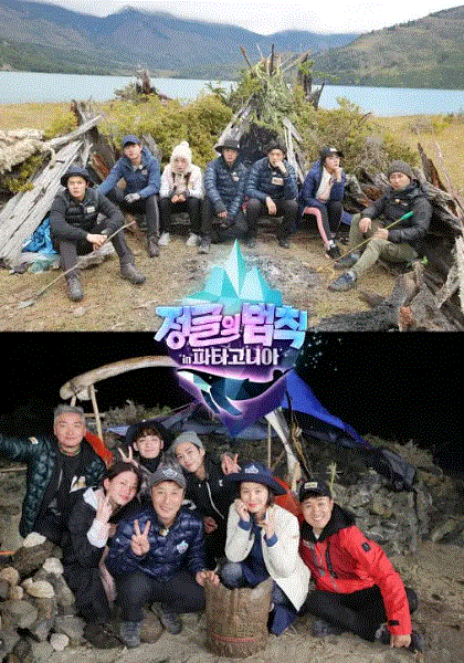 金炳万的丛林法则