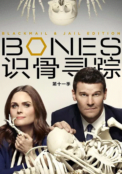 识骨寻踪第11季