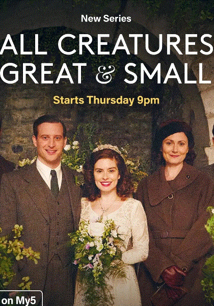 万物既伟大又渺小第3季