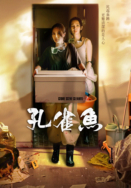 孔雀鱼