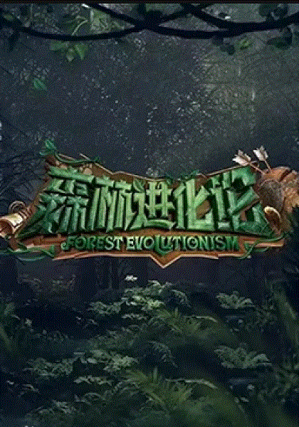 森林进化论第2季