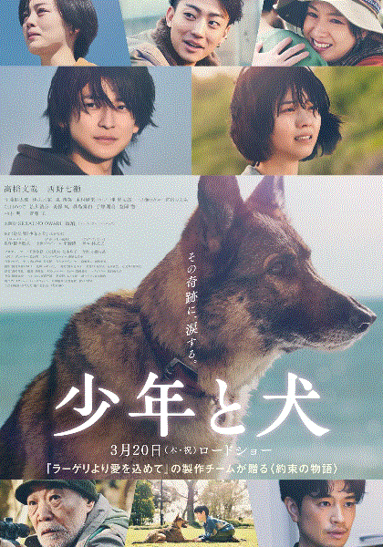 少年与犬